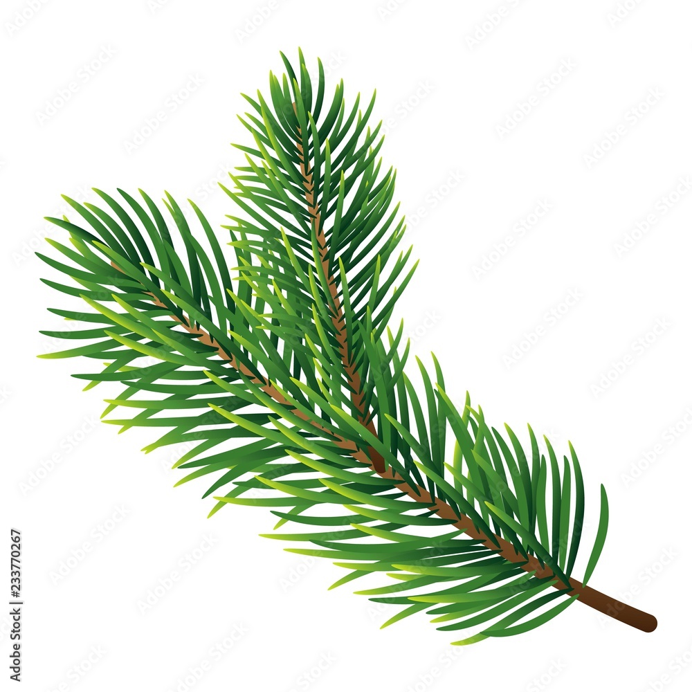 Aufkleber pine tree branch icon. realistic illustration of pine tree branch vector icon for web design isolate