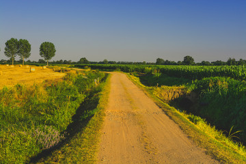 Obraz premium Milan, Italy - panorama in the countryside