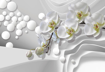 Fototapety  Bukiet storczyków na tle białej abstrakcyjnej architektury przyniesie. Uroczystość 3d tło.