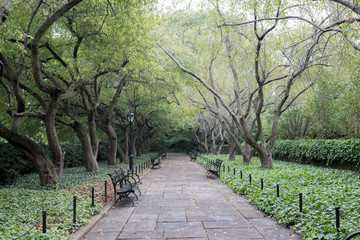 Obraz premium Central Park