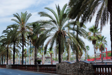 Fototapeta premium On Columbus Avenue in Barcelona