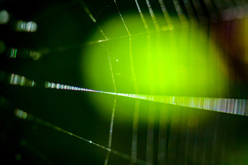Abstract spider web background.