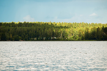 Landscape with water surface and forest