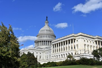 united states capitol building in washington dc