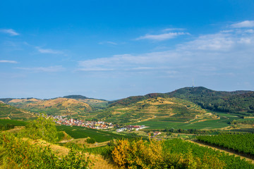 Fototapeta na wymiar Germany, Vogtsburg Oberbergen village in Kaiserstuhl vineyard mountains