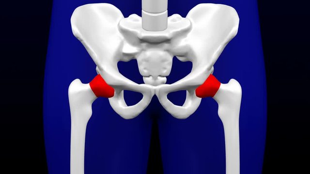 Disease of the joints. Red blinking on the bones.  Loopable. Luma matte. 3D rendering.