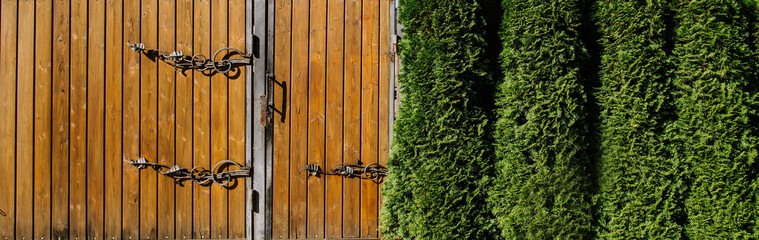 Wooden doors and green trees