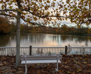 Kurpark Bad Nauheim