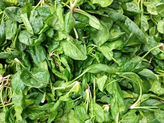 Fresh spinach leafsas background at market stall