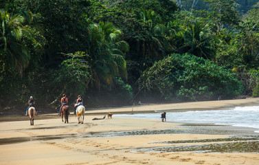 Horse riding on Beach in Costa Rica at the Caribbean in Punta Uva Beach