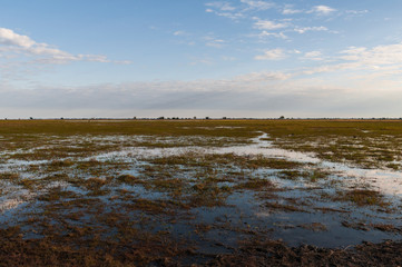 Landscape at the Okavango, Africa / Landscape at the Okavango River, Namibia Southern Africa.