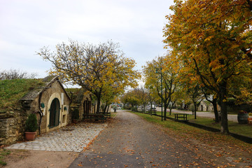 Street with old wine cellars, Austria