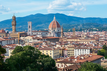 Fototapeta premium Ancient city center, Florence, Tuscany, Italy. Varicoloured beautiful building in ancient European town, view from Boboli Gardens, Florentine amazing landscape.