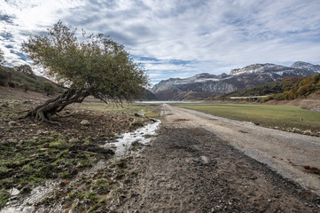 Landscape photography in with a tree in the middle of a valley that is generally covered by the waters of the reservoir of Riaño, in Leon (Spain).