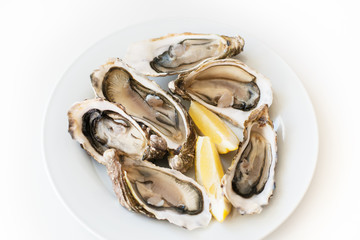 Fresh oyster. Raw fresh oyster on white round plate, image isolated, with soft focus. Restaurant delicacy. Saltwater oyster, soft focus