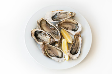 Fresh oyster. Raw fresh oyster on white round plate, image isolated, with soft focus. Restaurant delicacy. Saltwater oyster, soft focus