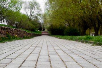 Stone pavement on the road in the park