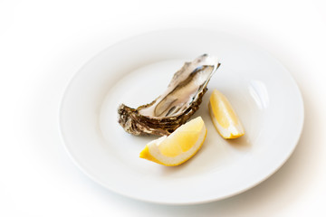 Fresh oyster. Raw fresh oyster on white round plate, image isolated, with soft focus. Restaurant...