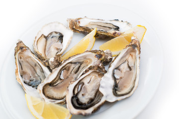 Fresh oyster. Raw fresh oyster on white round plate, image isolated, with soft focus. Restaurant delicacy. Saltwater oyster, soft focus