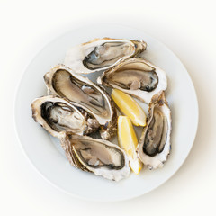 Fresh oysters with lemon. Raw fresh oysters on white round plate, image isolated, with soft focus....