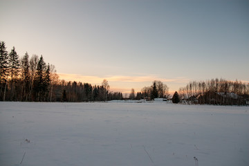 wild forest in winter with high level of snow