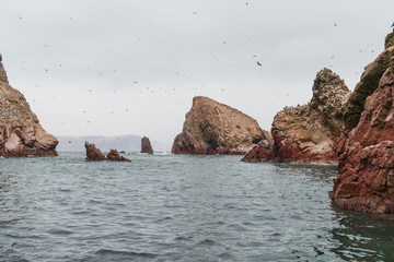 Islas Balletas Boat Tour