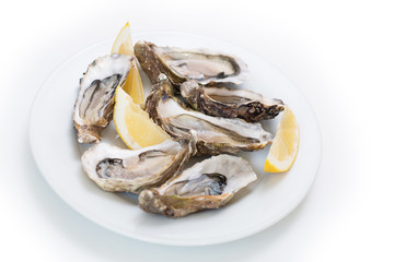 Fresh oysters. Raw fresh oysters on white round plate, image isolated, with soft focus. Restaurant delicacy. Saltwater oysters