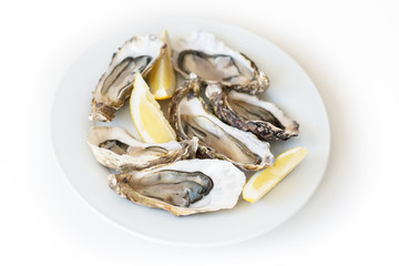 Fresh oysters. Raw fresh oysters on white round plate, image isolated, with soft focus. Restaurant...