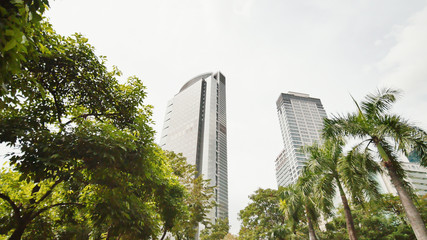 Skyscrapers against the backdrop of palm trees. Shooting in motion. Makati District in Manila. Philippines.