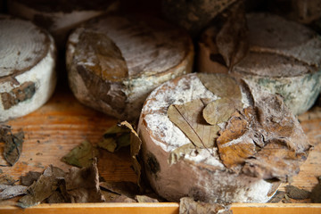 Heads of cheese of Pienza, Italia. Traditional tuscan cheese on the shelf  in market..