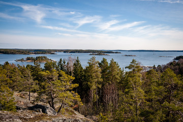rocky coastline in Finland with few pine trees