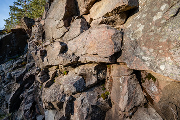 rocky coastline in Finland with few pine trees