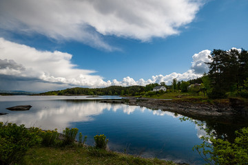 rocky coastline in Norway with few pine trees