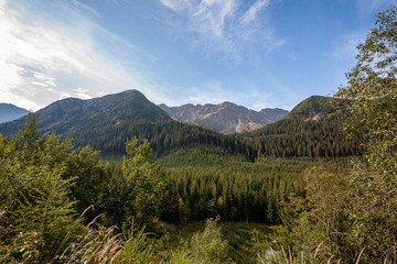 cloudy and misty Slovakian Western Carpathian Tatra Mountain skyline covered with forests and trees
