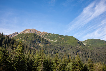 cloudy and misty Slovakian Western Carpathian Tatra Mountain skyline covered with forests and trees
