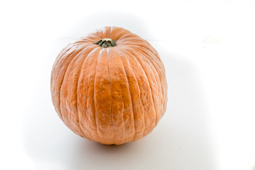 halloween pumpkin with white background
