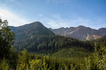 cloudy and misty Slovakian Western Carpathian Tatra Mountain skyline covered with forests and trees