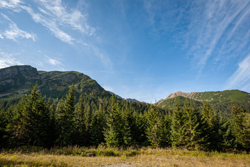 cloudy and misty Slovakian Western Carpathian Tatra Mountain skyline covered with forests and trees