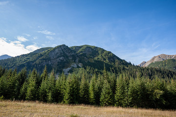 Obraz premium cloudy and misty Slovakian Western Carpathian Tatra Mountain skyline covered with forests and trees
