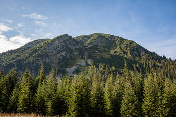 cloudy and misty Slovakian Western Carpathian Tatra Mountain skyline covered with forests and trees