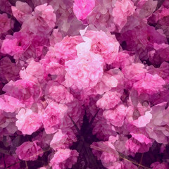 Double exposure.  Beautiful flowers as background. 