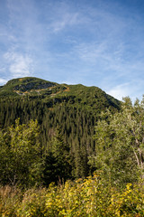 cloudy and misty Slovakian Western Carpathian Tatra Mountain skyline covered with forests and trees