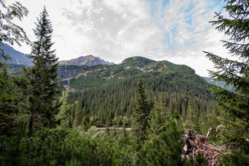 cloudy and misty Slovakian Western Carpathian Tatra Mountain skyline covered with forests and trees