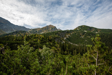 Fototapeta na wymiar cloudy and misty Slovakian Western Carpathian Tatra Mountain skyline covered with forests and trees