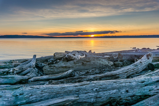 Fototapeta Driftwood Sunset Scene