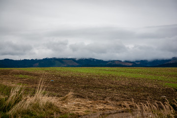 cloudy and misty Slovakian Western Carpathian Tatra Mountain skyline covered with forests and trees