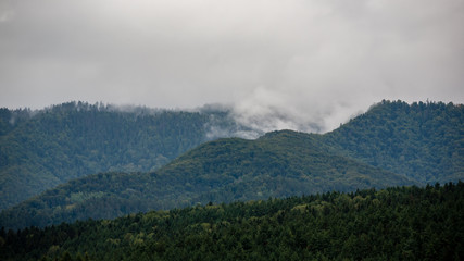 cloudy and misty Slovakian Western Carpathian Tatra Mountain skyline covered with forests and trees