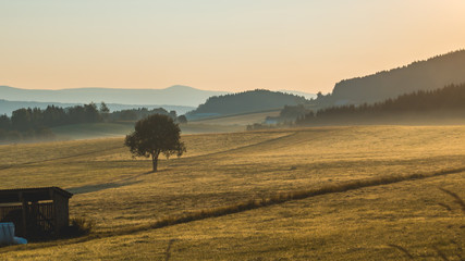 Hazy sunrise near Kirchberg im Wald - Bavarian Forest
