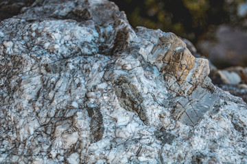 Stone containg fossiles at Russbach-Salzburg-Austria