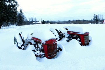 Tractors in Snow